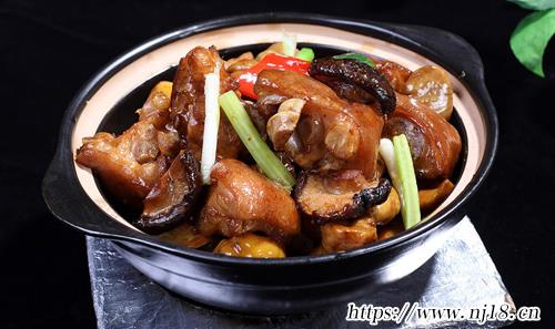 雞肉的做法大全家常菜30種
