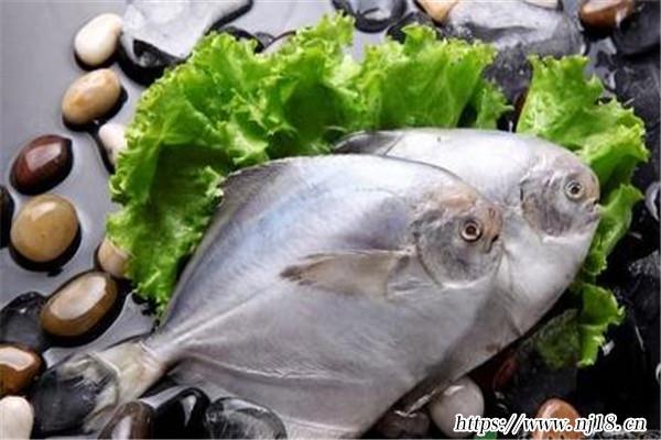 最適合孩子吃的八種魚