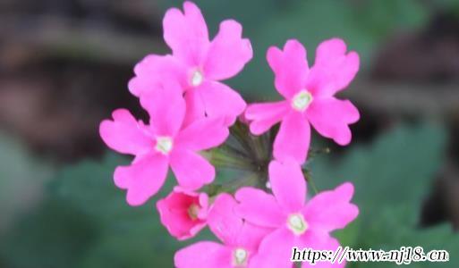 寶寶名字大全2022屬虎全新，康熙字典虎年寶寶取名最佳用字好聽