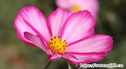 2022年最潮的微信網名，康熙字典微信取個好名字最新