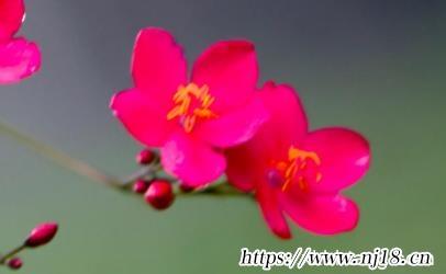 4個字的霸氣網名新，康熙字典霸氣很爺們的網名四個字