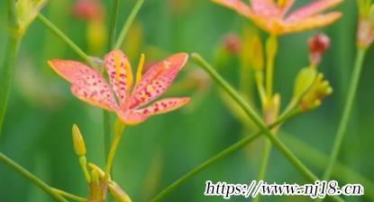 王者名字搞笑大全，康熙字典王者榮耀名字搞笑幽默