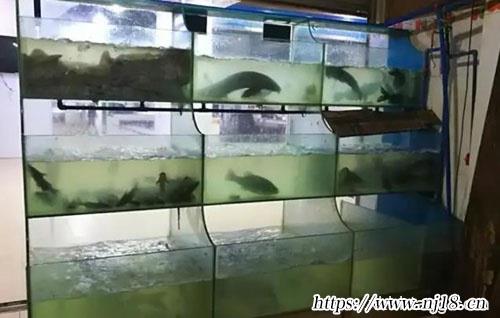 魚店有創意的名字大全，康熙字典100個好聽的魚店名