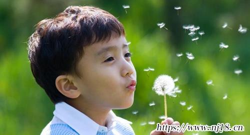 好聽的虎寶寶男孩取名大全2022款推薦
