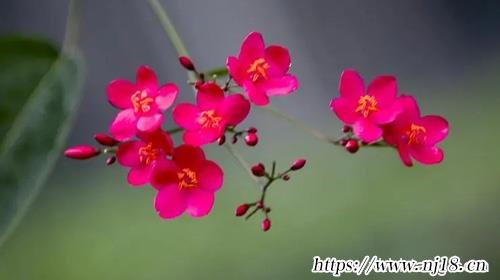 男孩名字儒雅大氣360個，康熙字典男孩大氣有涵養的名字