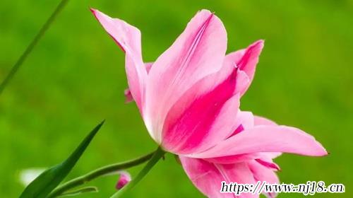 2023年寶寶取名字免費630個，康熙字典免費新生兒取名2023