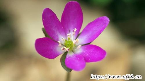 劉姓男孩名字順口好聽880個，康熙字典劉姓比較順口的名字