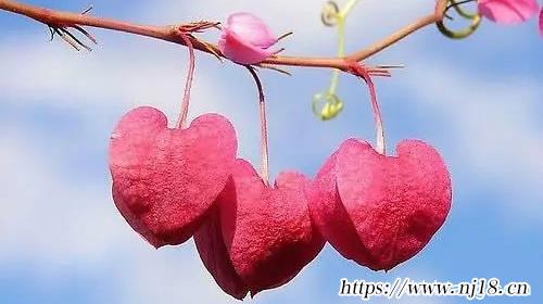 姓黃的男孩名字屬虎起名推薦1200個