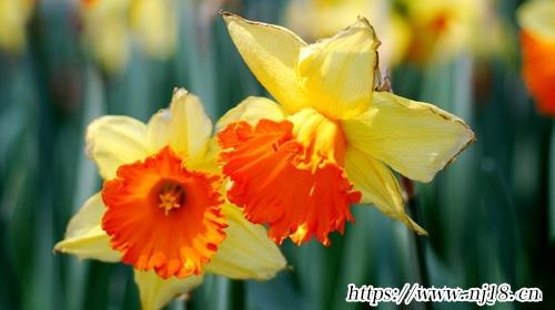 新生兒名字大全女孩免費320個，康熙字典新生兒五行查詢和取名