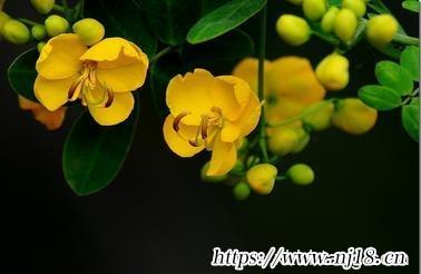 陳姓最順口的名字360個