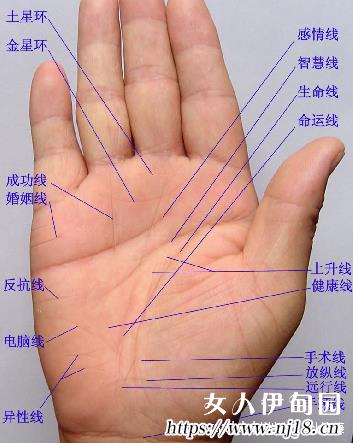 中國手相大全,民間最準手相口訣