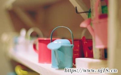 張姓女孩最吉利的名字(共716個)