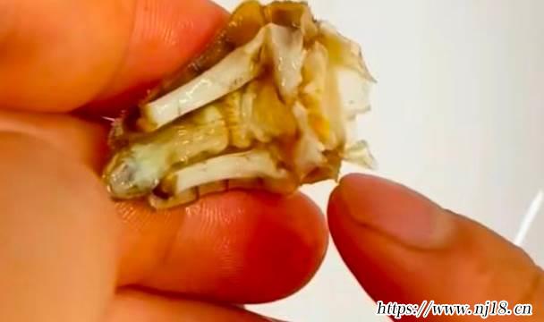 螃蟹怎麼吃，螃蟹的吃法