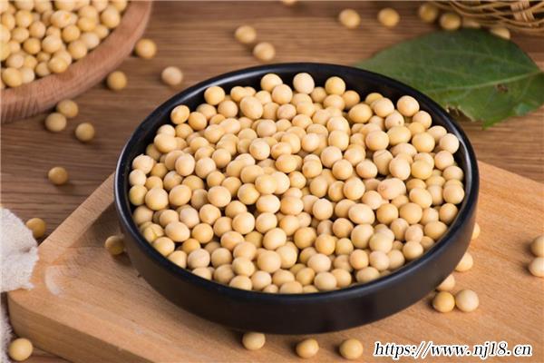 10大雌性激素多的食物，雌激素的食物都有哪些