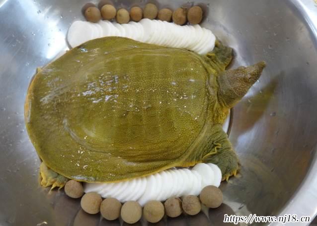 甲魚湯怎麼做好喝又營養，甲魚湯的做法