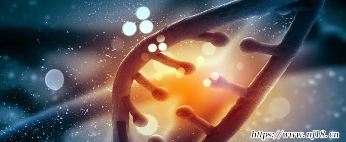 sci是什麼意思，康熙字典sci是什麼