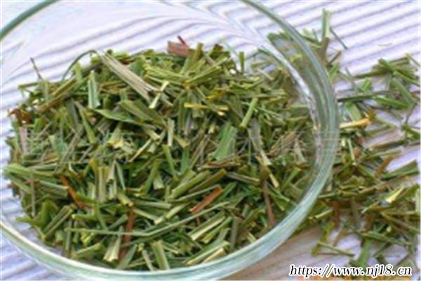 十大養生花茶排行榜，中國十大花茶排名