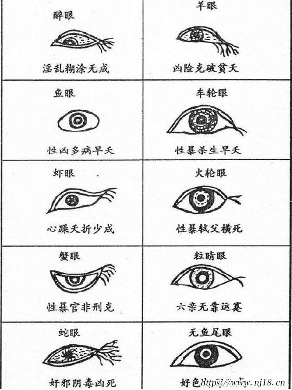 二十種眼形大全圖解,20種眼型都有哪些
