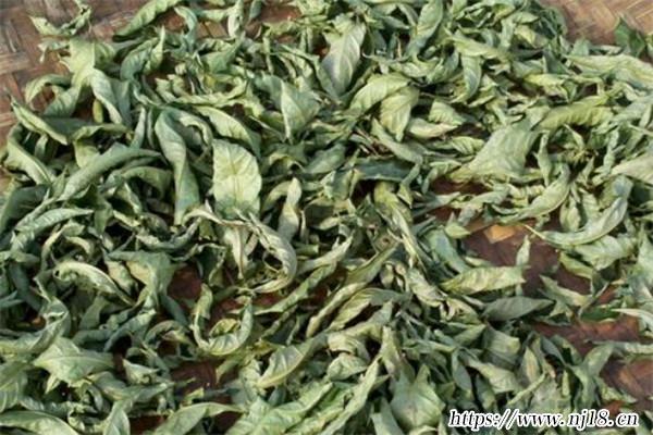 廣西十大名茶排行榜，康熙字典廣西有什麼茶比較出名