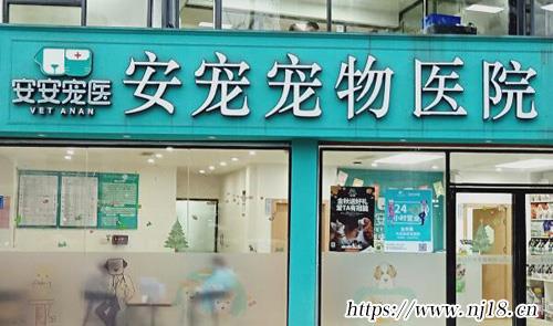 寵物醫院連鎖品牌排行榜，康熙字典正規的寵物醫院有哪些