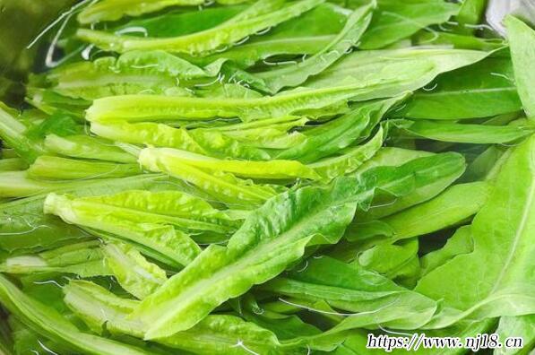 十大最有營養的蔬菜