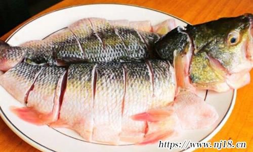 最高的十大高蛋白食物排行榜