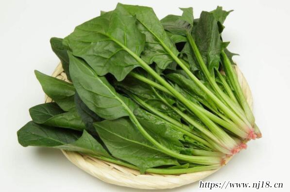 十大強堿性食物排名有哪些