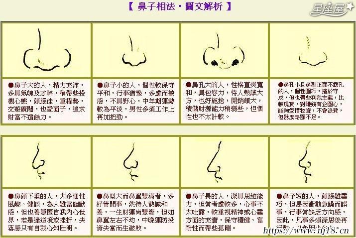 鼻子風水圖解 14種鼻型圖解