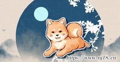 82年屬狗的財運如何