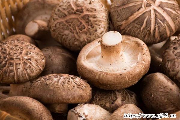 10大雌性激素多的食物，雌激素的食物都有哪些
