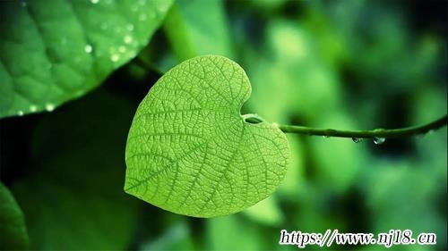 2022流行的微信昵稱360個