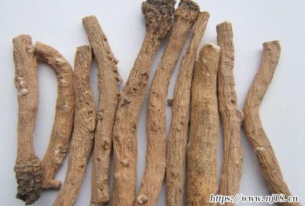 秋季十大養生中藥材