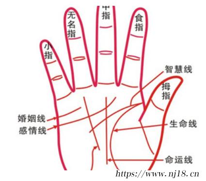 掌紋圖解女右手詳解，康熙字典女人右手掌紋圖解算命