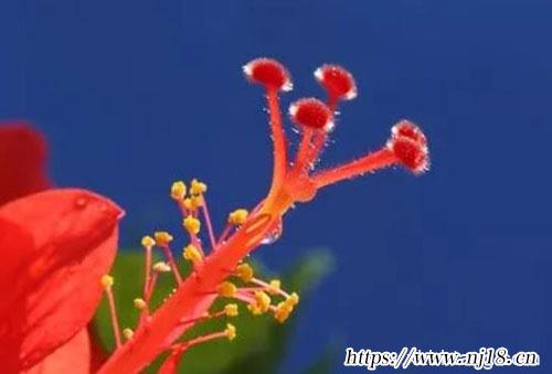 抖音名字女生簡單氣質吸引人，康熙字典抖音昵稱女生簡短好聽