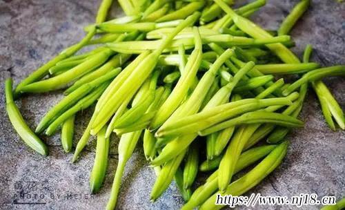 十大補腦的食物排名