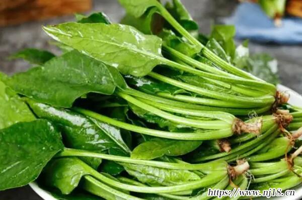 10種強堿性食物排名