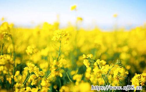女寶寶名字大全2022屬虎精選1600個