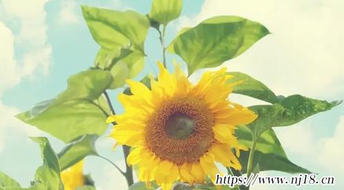 李姓好聽到爆炸的名字1500個
