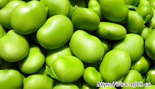 蛋白質含量高的食物排名表