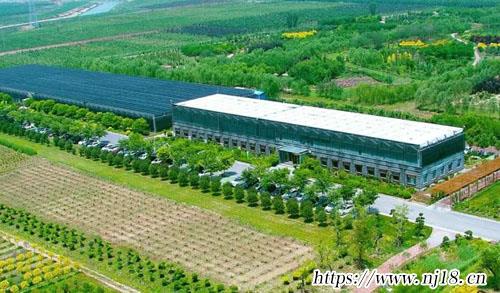 農業公司名稱大全簡單大氣620個