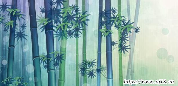 竹子是草還是樹，康熙字典竹子屬於樹還是草
