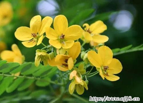 微信名字取什麼好聽，康熙字典獨一無二的微信名大全