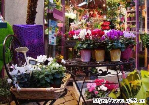 花店名字唯美浪漫取名大全730個