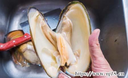 河蚌怎麼洗，康熙字典河蚌怎麼清洗