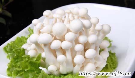 海鮮菇不焯水可以吃嗎，康熙字典海鮮菇需要焯水嗎