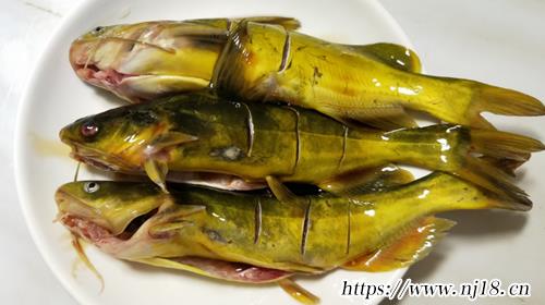 五種有營養的魚推薦