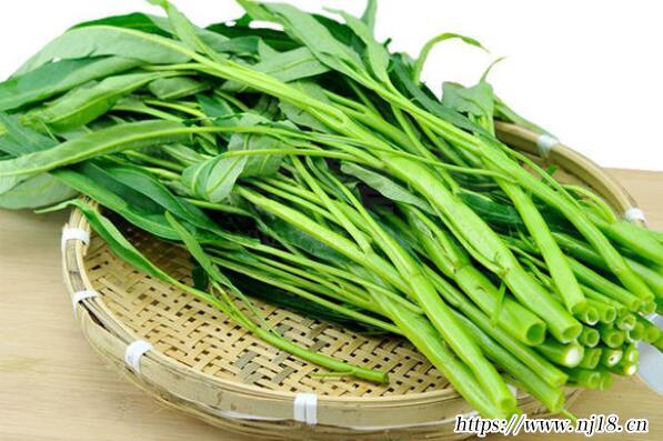 十大熱量低的蔬菜推薦