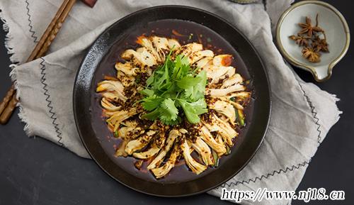 雞肉的做法大全家常菜30種