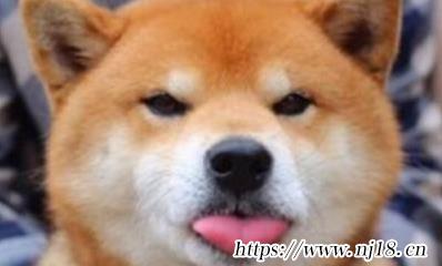 搞笑名字