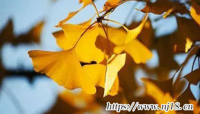 博學多才的男孩名字1000個
